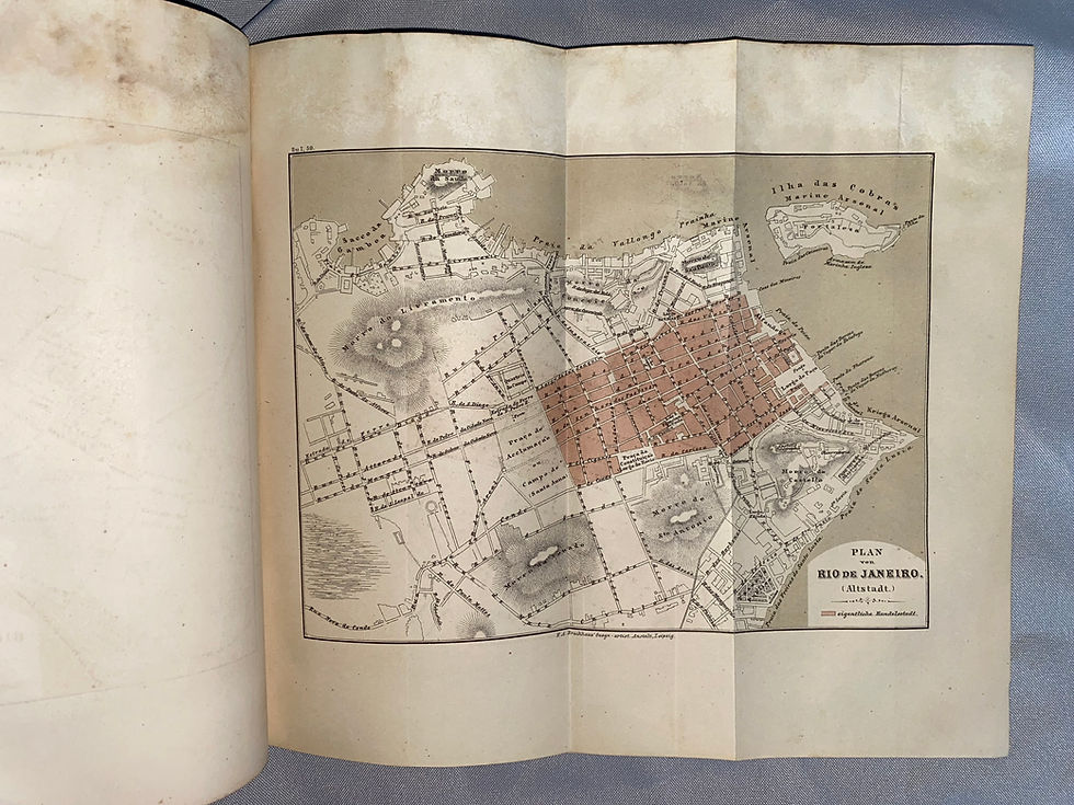 Miniaturbild: Tschudi: Reisen durch Südamerika 1866-1869