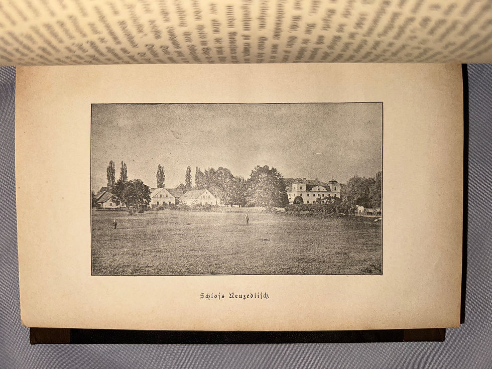 Miniaturbild: Köferl: Der politische Bezirk Tachau 1890