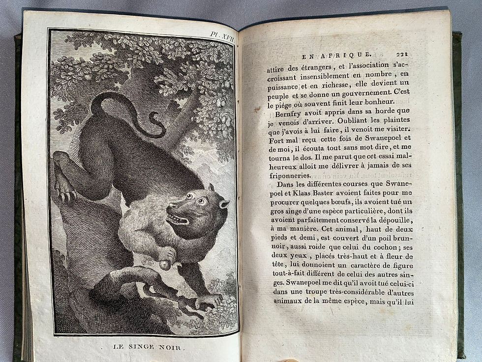 Miniaturbild: Vaillant: Second Voyage dans l'Intérieur de l'Afrique 1803