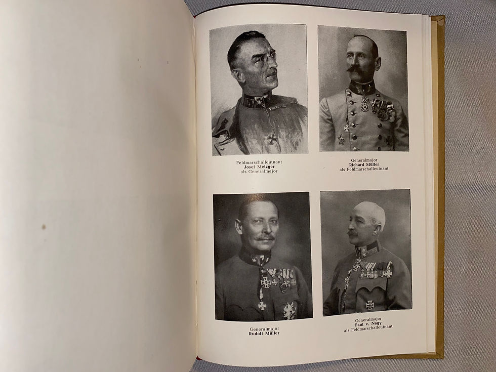 Miniaturbild: Der Militär-Maria Theresien-Orden. Die Auszeichnungen im Weltkrieg 1914-1918