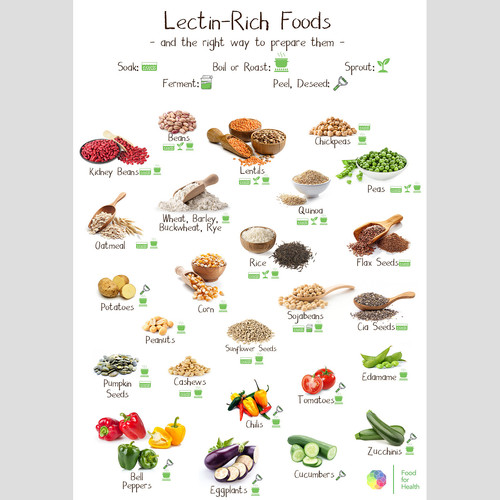 LectinRich Foods Metabolism & Health