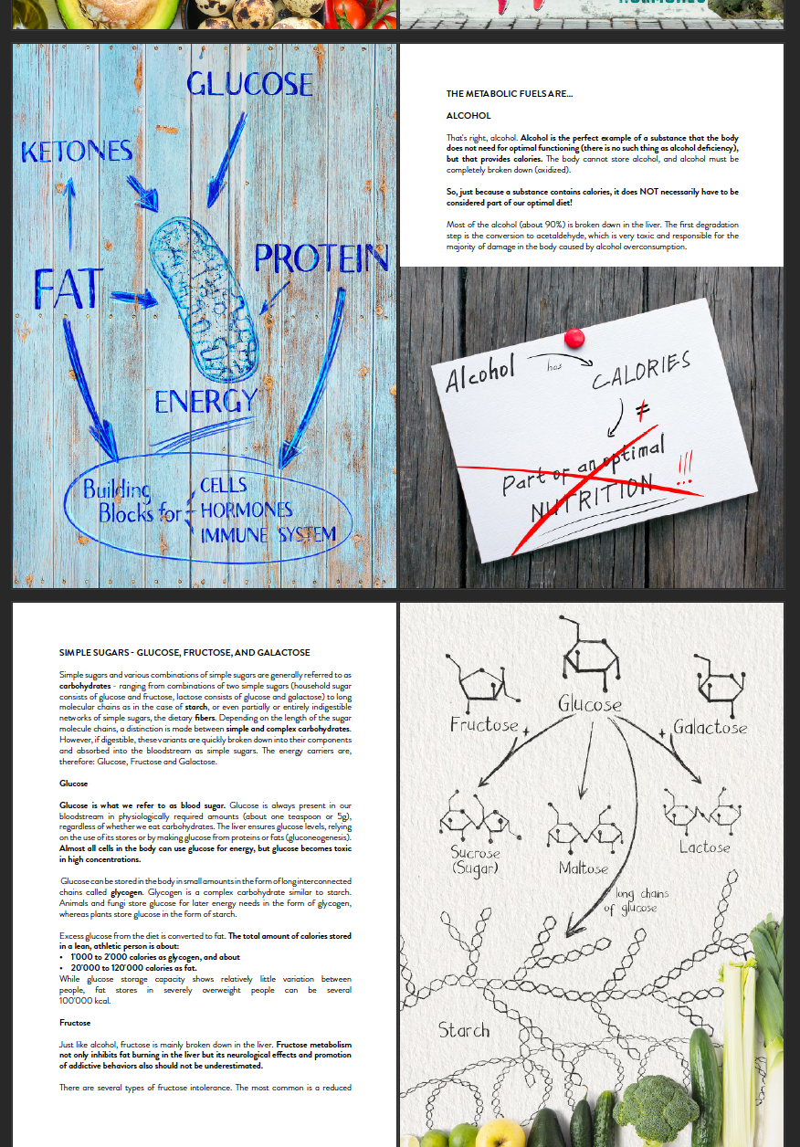 Thumbnail: Food For Health: Nutrition Principles For Optimal Metabolism
