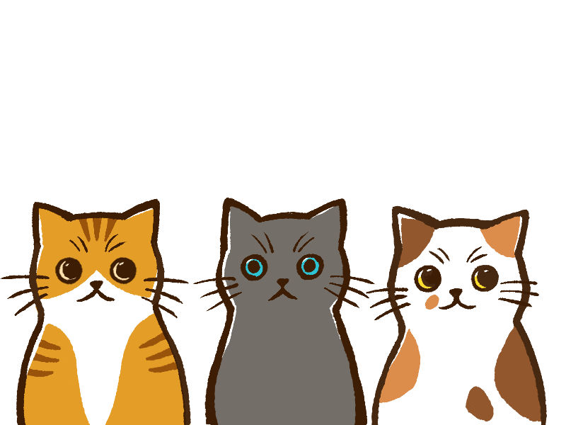 猫三匹