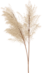 12_edited.png