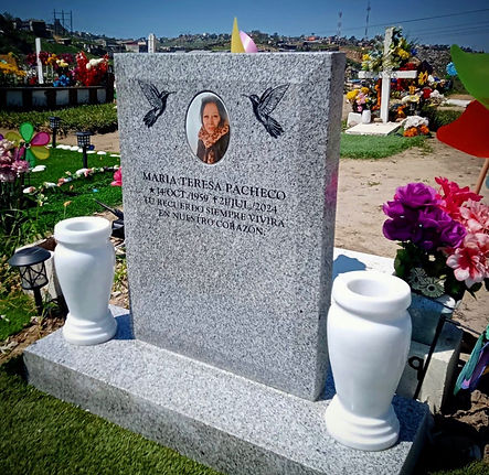 WhatsApp Image 2026-03-27 at 12.41.56 PM (5).jpeg