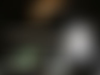 Les joueurs peuvent retrouver divers jeux vidéo 