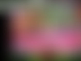 Ben 10 Football Alien Shoot : incarnez des extraterrestres dans ce jeu