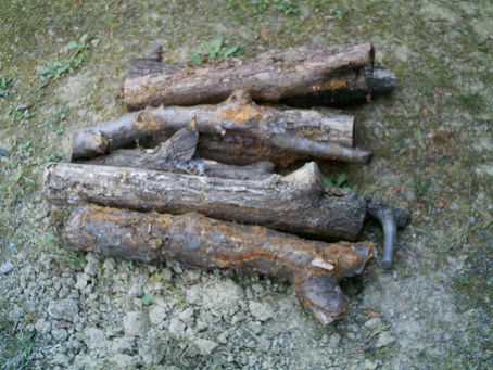 Mobile Royale : un jeu de stratégie du studio IGG.COM