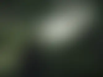 The Last of Us : la série issue du jeu, nominée aux Emmy Awards