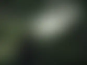 Sony : ce qu'il faut savoir sur ses exclusivités 