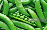9. Palmitoylethanolamide PEA