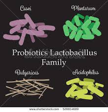 3. Probiotics and Prebiotics