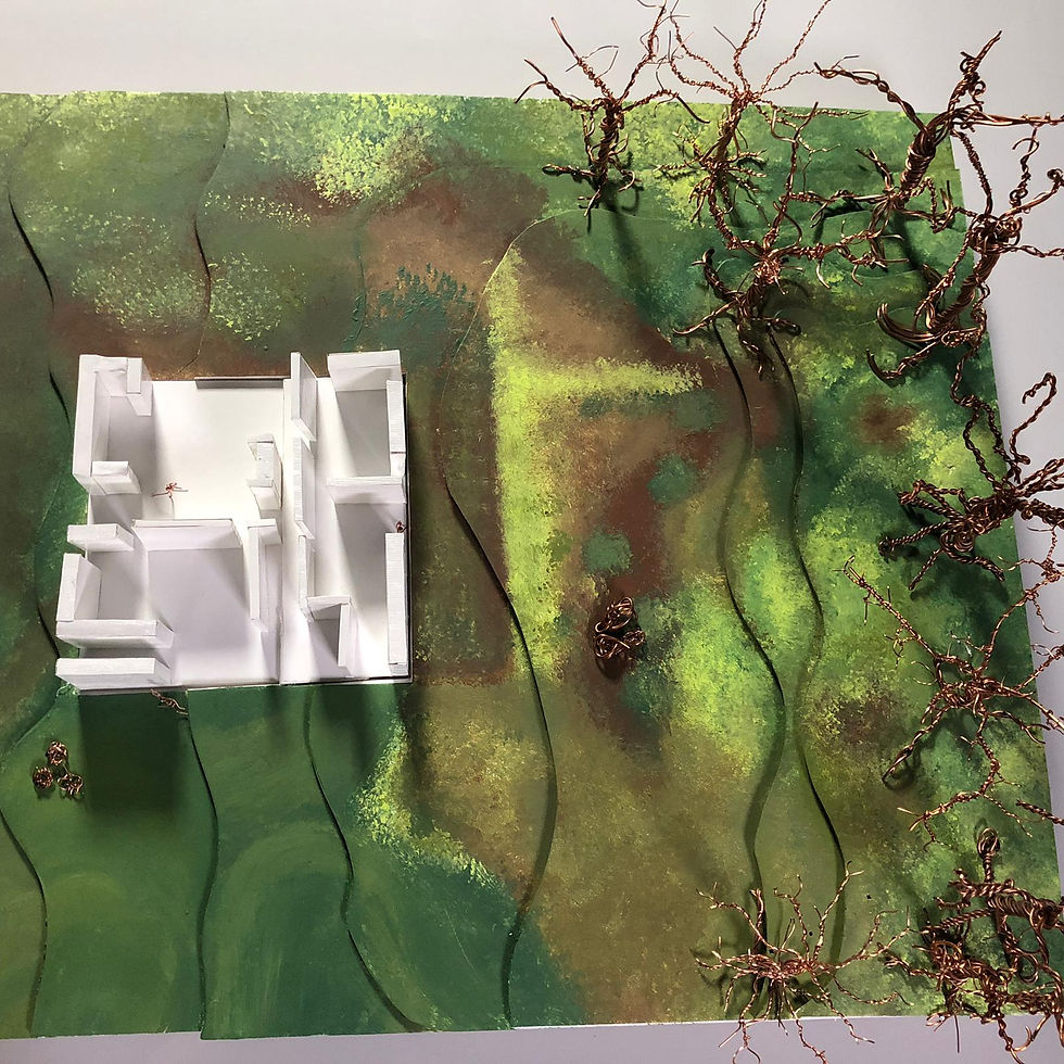 1:100 SITE MODEL