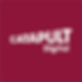 Digital Catapult logo