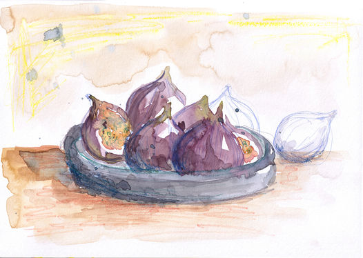 figs watercolour food art illustration
