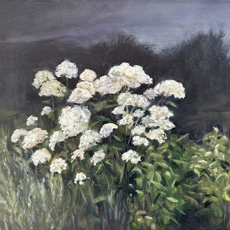 garden flowers oil painting irish artist