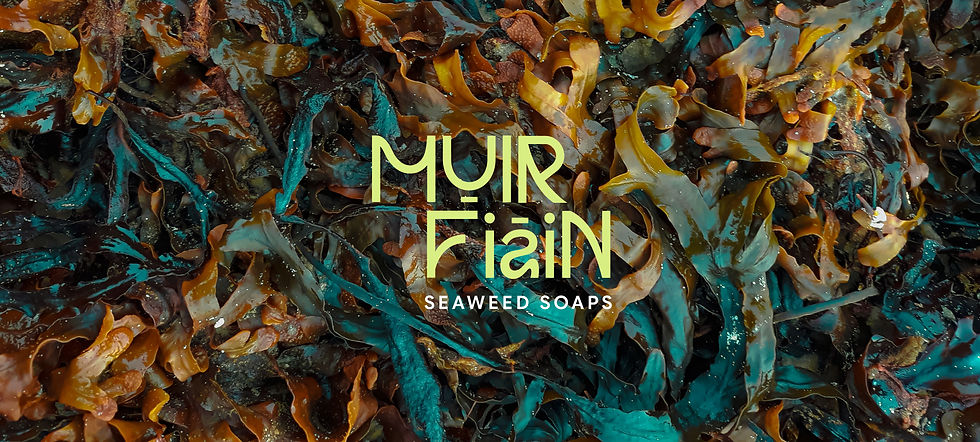 seaweed soap branding project images
