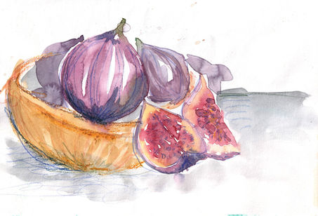 figs food illustration