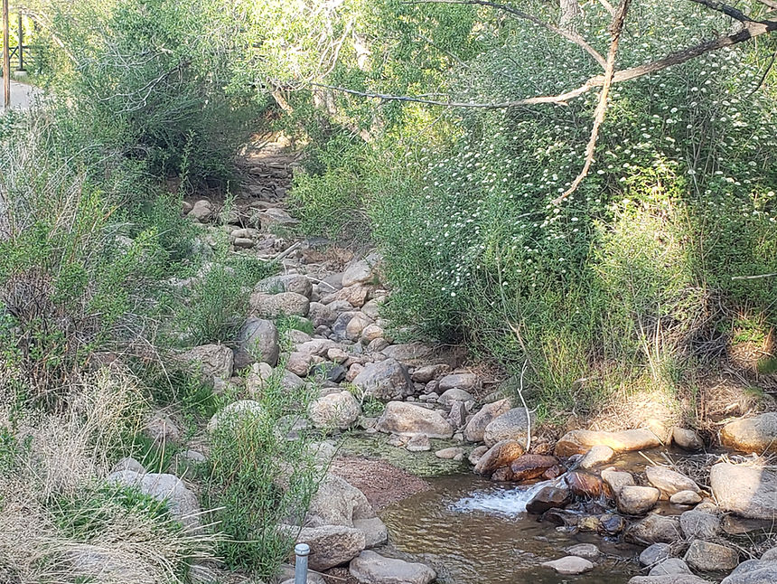 20220517_070120.jpg