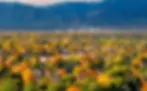 best-neighborhoods-families-colorado-springs.webp