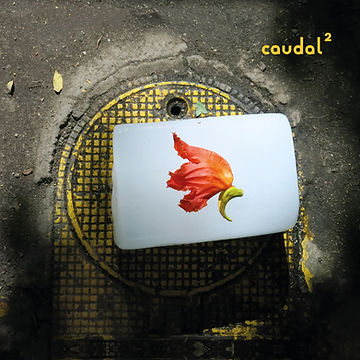 portada_caudal2.jpg