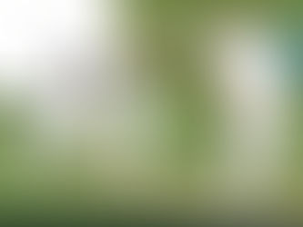 Saturday 31st August - First XI home draw against Maghull