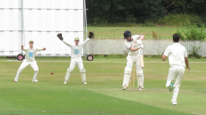 LBW for Huzaifa Zubair