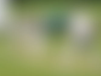 Saturday 15th June - Second XI win only result of rain affected day