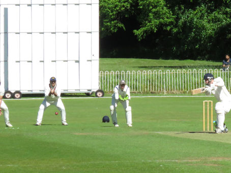 Saturday 28th May  - First XI win against Northop Hall and seven wickets for Dan Shakeel in Thirds