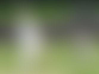 Saturday 1st June - Paul Horton century in First XI win at Maghull