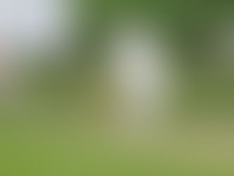 Saturday 22nd April - First XI defeat at Spring View as Seconds defeat Leigh