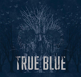 13055552_10156778327960510_8599590163490