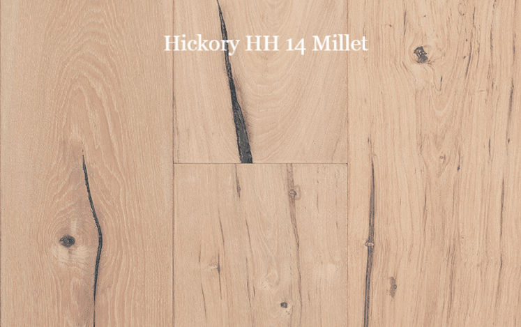 Hickory HH 14 Millet