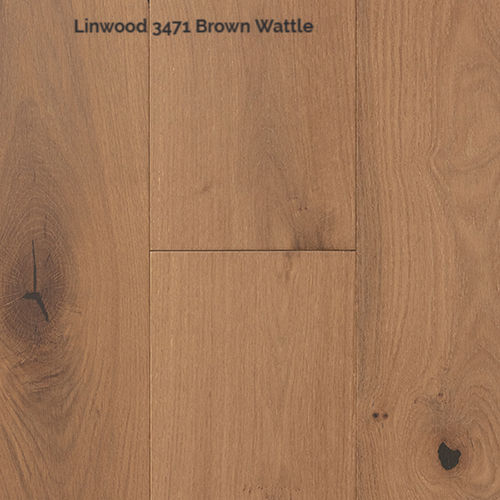LinWood_3471_Brown-Wattle