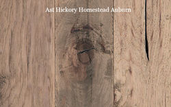 ast_hickory_homestead_auburn_747x469px_01_f9642ec2dc_edited