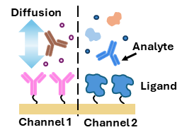 Protein Protein interaction