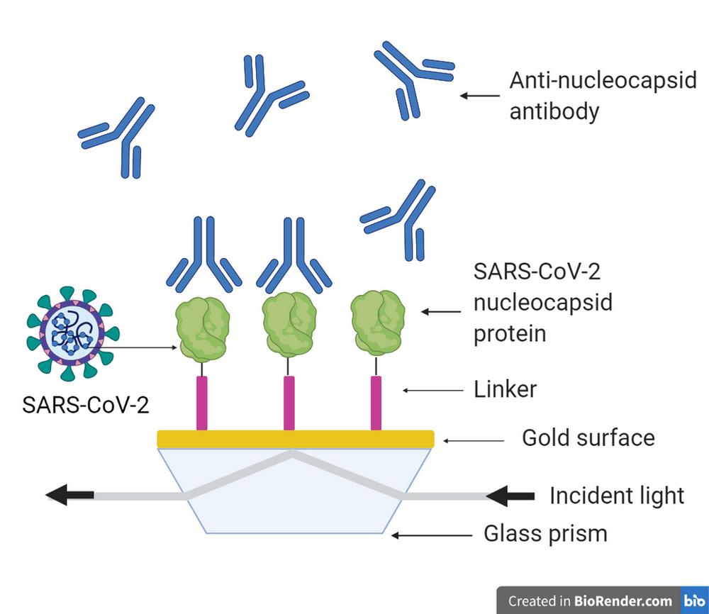 SPR for enriching synthetic biology research