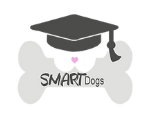 logo sd.png