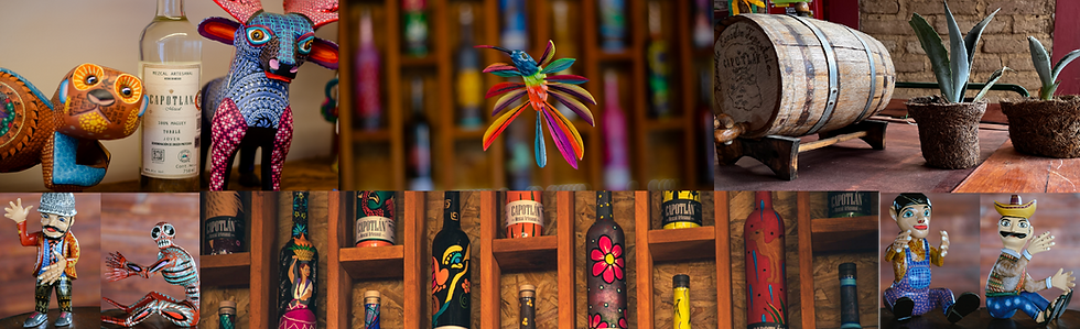 colectivo botellas collage.png