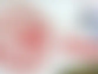 Mesleğe yeni başlayanlar için DHY