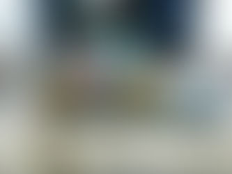 PMES APREENDE GRANDE QUANTIDADE DE DROGAS EM SÃO MATEUS-ES