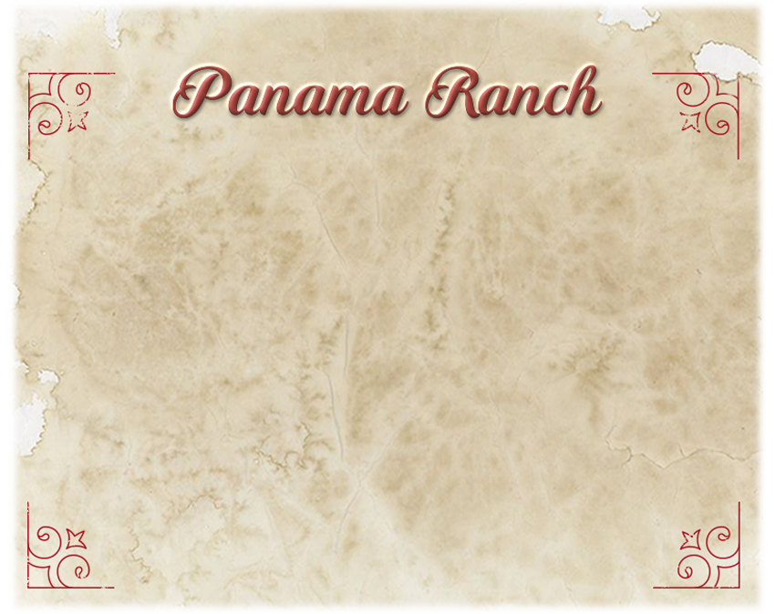 OldPaperForm3.png