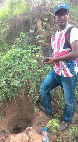 YASH pLANT