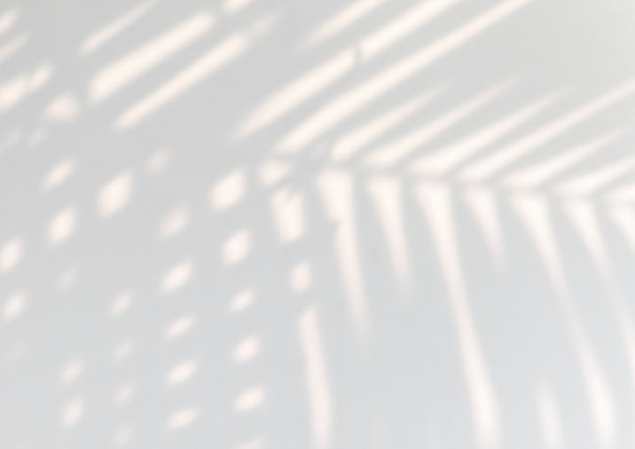 tropical-palm-leaves-shadow-white-wall_edited.jpg