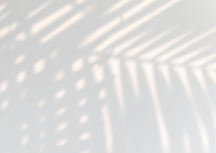 tropical-palm-leaves-shadow-white-wall_edited.jpg