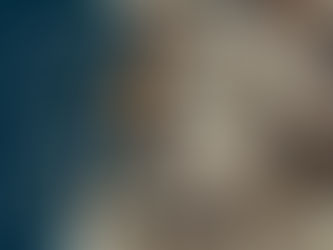 Penso, logo leio: livros essenciais para a filosofia ocidental