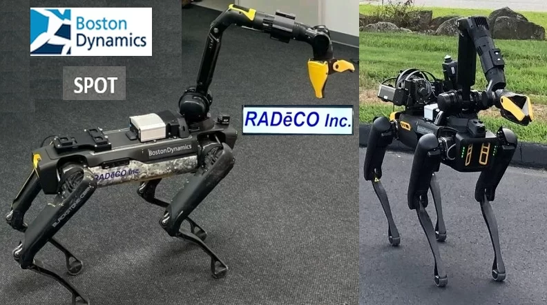 RADeco-SPOT-SS.webp