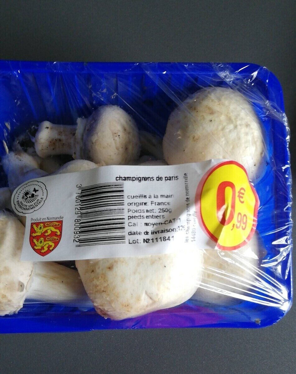 Champignon de Paris