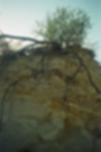 000041210010_edited.jpg