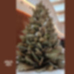 ideias decoração de natal simples